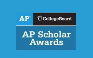 AP scholar art